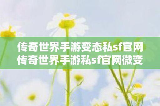 传奇世界手游变态私sf官网传奇世界手游私sf官网微变图片
