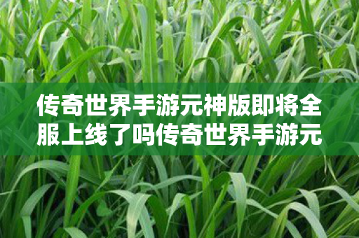 传奇世界手游元神版即将全服上线了吗传奇世界手游元神版即将全服上线图片