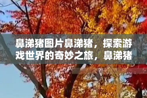 探索游戏世界的奇妙之旅图片