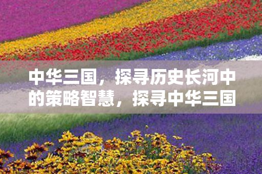 探寻中华三国历史长河中的策略智慧图片