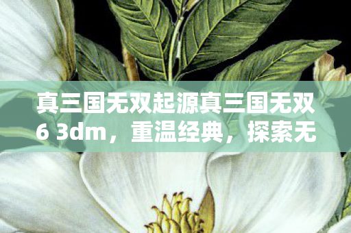 真三国无双起源真三国无双6 3dm图片