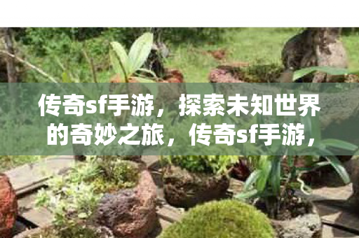 探索未知世界的奇妙冒险之旅图片