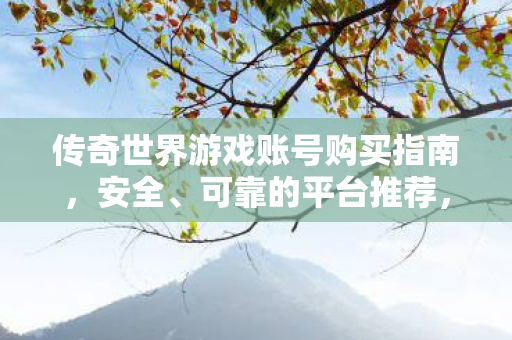 传奇世界游戏账号购买指南图片