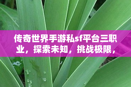 传奇世界手游私sf平台三职业图片