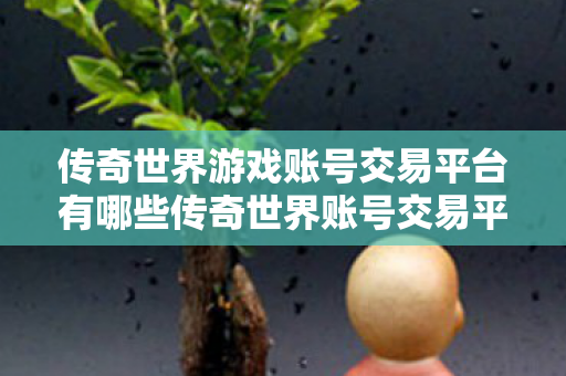 传奇世界游戏账号交易平台有哪些传奇世界账号交易平台的正规之道图片
