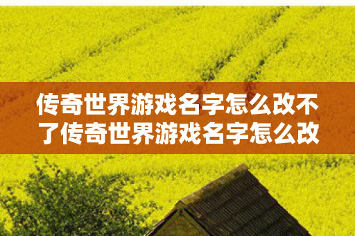 传奇世界游戏名字怎么改不了传奇世界游戏名字怎么改，传奇世界游戏名字修改方法详解