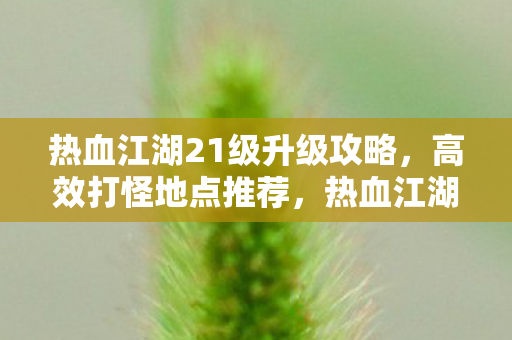 热血江湖21级升级攻略，高效打怪地点推荐，热血江湖21级升级攻略，高效打怪地点推荐