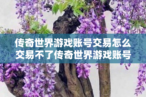 传奇世界游戏账号交易怎么交易不了传奇世界游戏账号交易怎么交易,传奇世界游戏账号交易无法进行的解决方法 传奇世界游戏账号交易怎么交易不了传奇世界游戏账号交易怎么交易,传奇世界游戏账号交易无法进行的解决方法