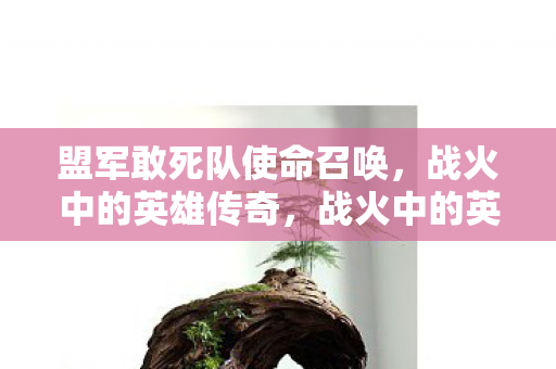 盟军敢死队使命召唤图片