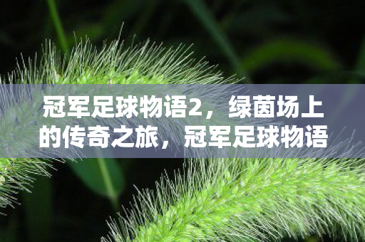 绿茵场上的传奇之旅图片
