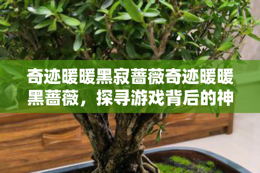 奇迹暖暖黑寂蔷薇奇迹暖暖黑蔷薇图片