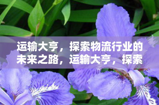 探索物流行业的未来之路图片