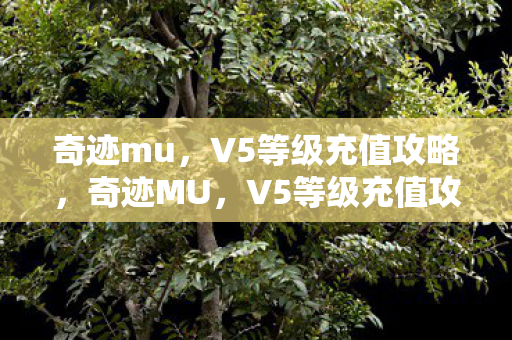 V5等级充值攻略全解析图片