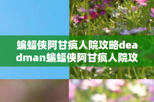 蝙蝠侠阿甘疯人院攻略deadman蝙蝠侠阿甘疯人院攻略图片