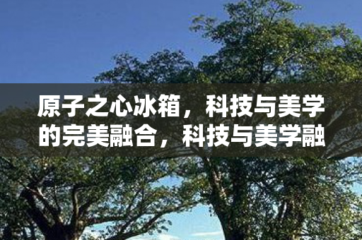 科技与美学的完美融合图片