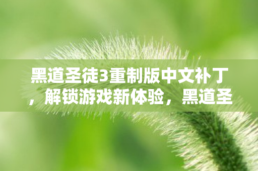 黑道圣徒3重制版中文补丁解锁全新游戏体验图片