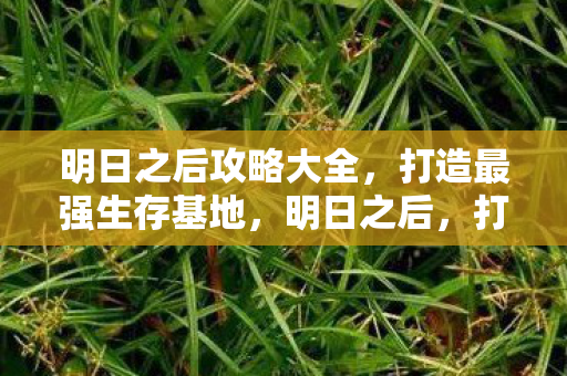 打造最强生存基地攻略大全图片