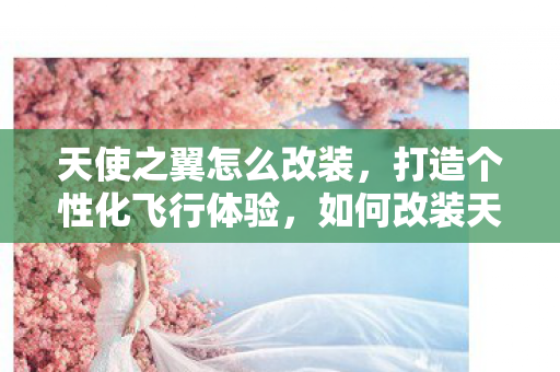 打造个性化飞行体验图片