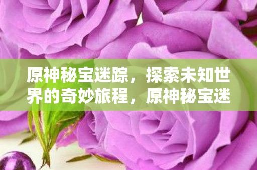探索未知世界的奇妙旅程图片