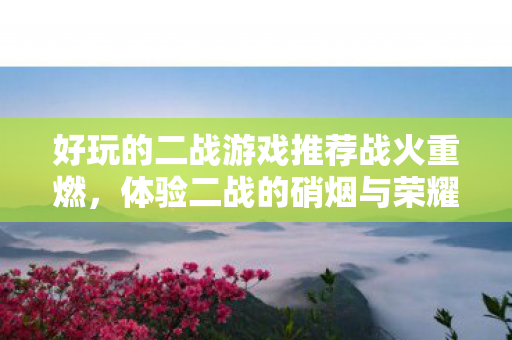 好玩的二战游戏推荐战火重燃图片