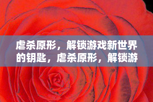 解锁游戏新世界的钥匙图片