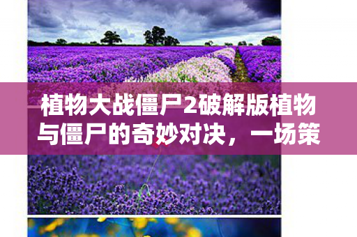 植物大战僵尸2破解版植物与僵尸的奇妙对决图片