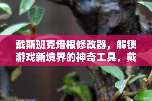 解锁游戏新境界的神奇工具图片