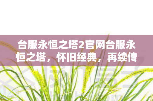 台服永恒之塔2官网台服永恒之塔图片