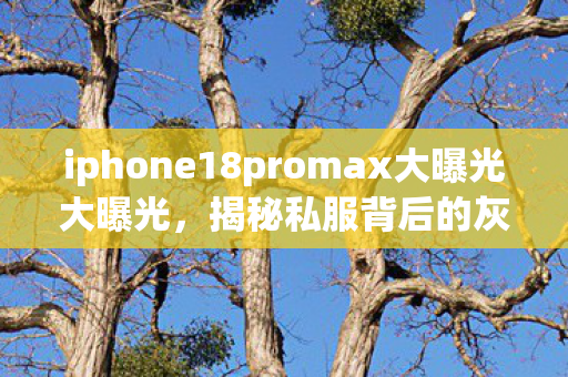 揭秘iPhone 18 Pro Max大曝光图片