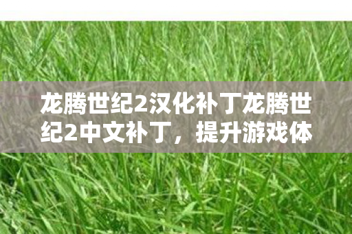 龙腾世纪2汉化补丁龙腾世纪2中文补丁图片
