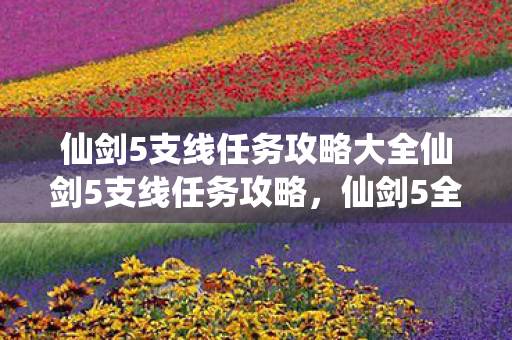 仙剑5支线任务攻略大全仙剑5支线任务攻略图片