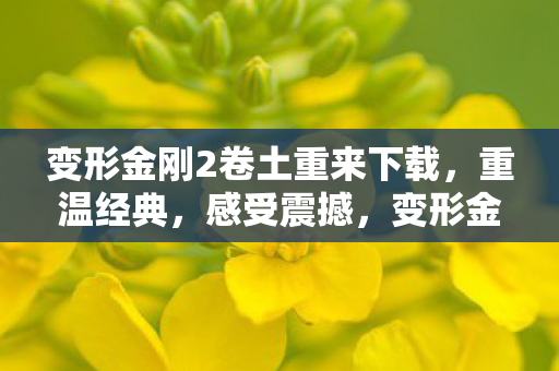 变形金刚2卷土重来下载图片