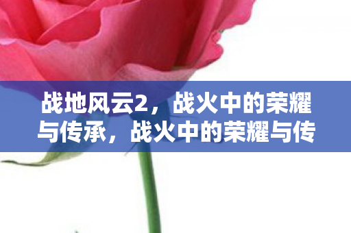战火中的荣耀与传承图片