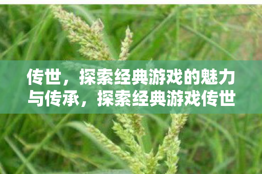 探索经典游戏传世魅力与传承之路图片