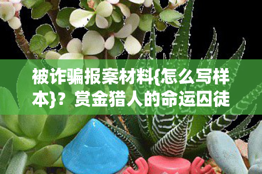 赏金猎人的命运囚徒解析图片