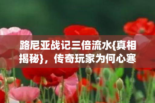 路尼亚战记三倍流水图片