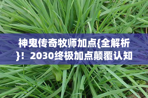 2030终极加点颠覆认知图片