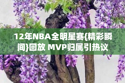 回放 MVP归属引热议图片