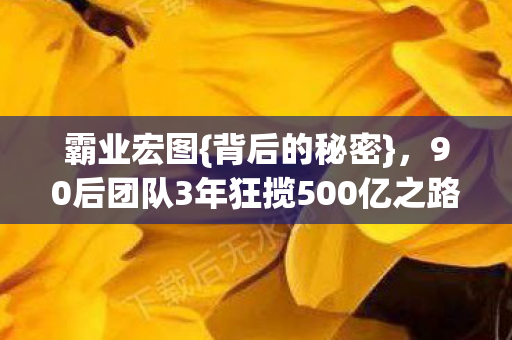 90后团队3年狂揽500亿之路图片