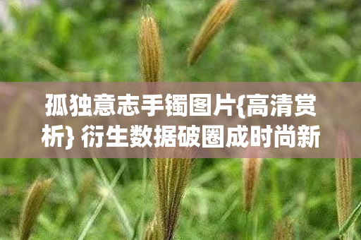 衍生数据破圈成时尚新宠图片