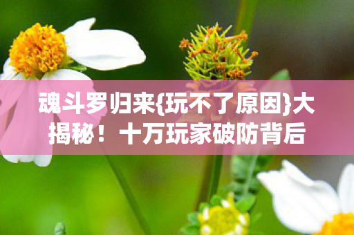 十万玩家破防背后图片