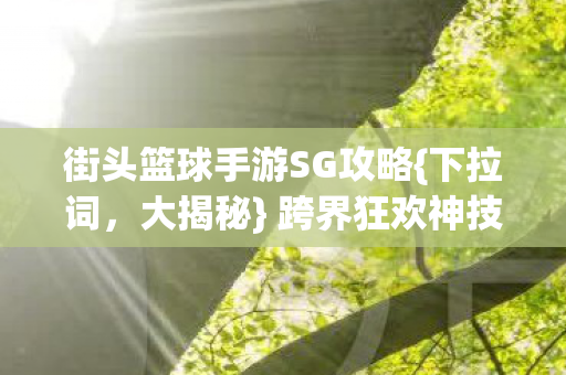 街头篮球手游SG攻略图片