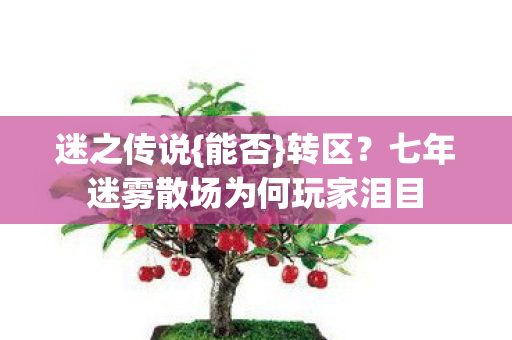 七年迷雾散场为何玩家泪目图片