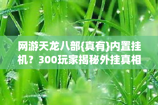 300玩家揭秘外挂真相图片