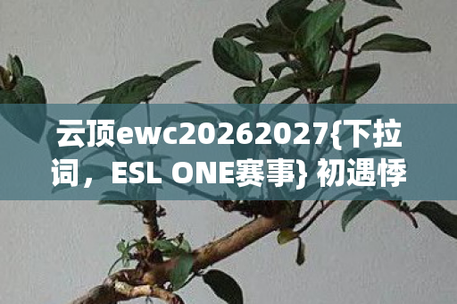 云顶ewc20262027图片