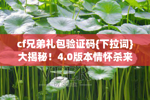 cf兄弟礼包验证码图片