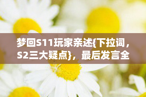 梦回S11玩家亲述图片