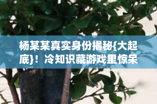 冷知识藏游戏里惊呆玩家图片