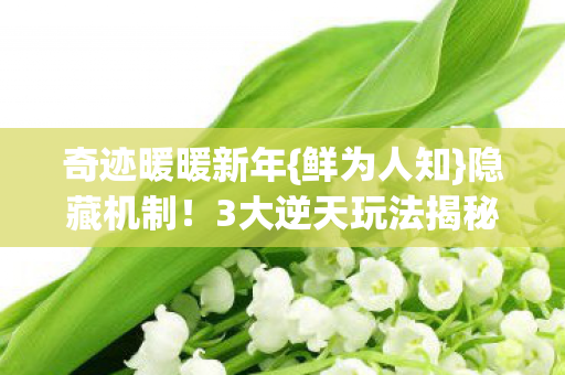 3大逆天玩法揭秘图片