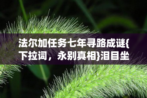 法尔加任务七年寻路成谜图片